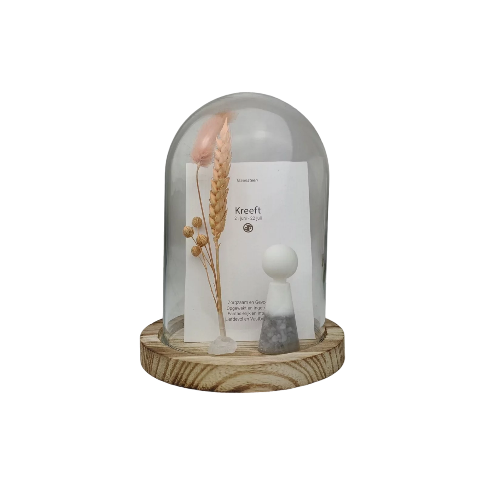 Gempops Horoscoop
