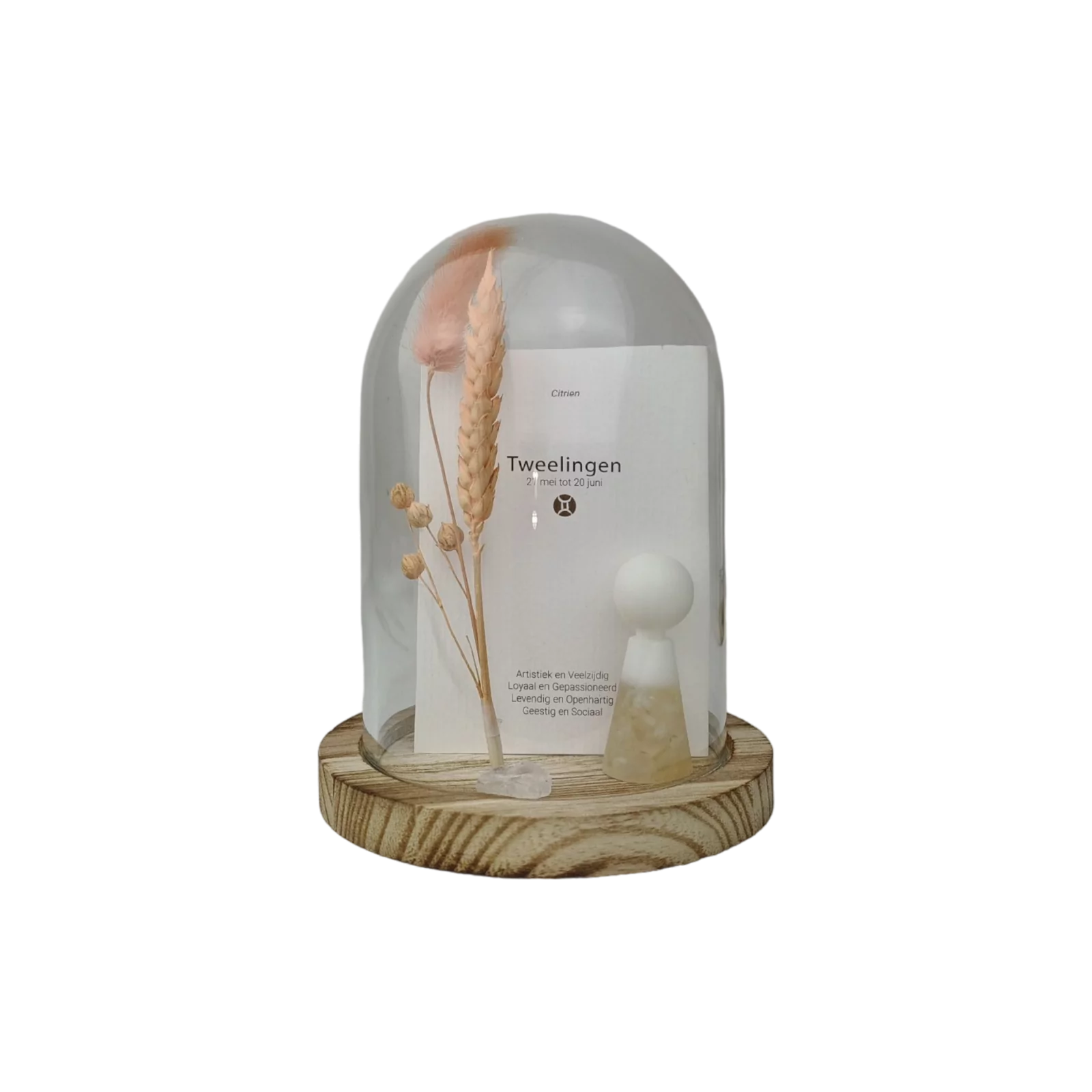Gempops Horoscoop