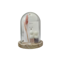 Gempops Huwelijk