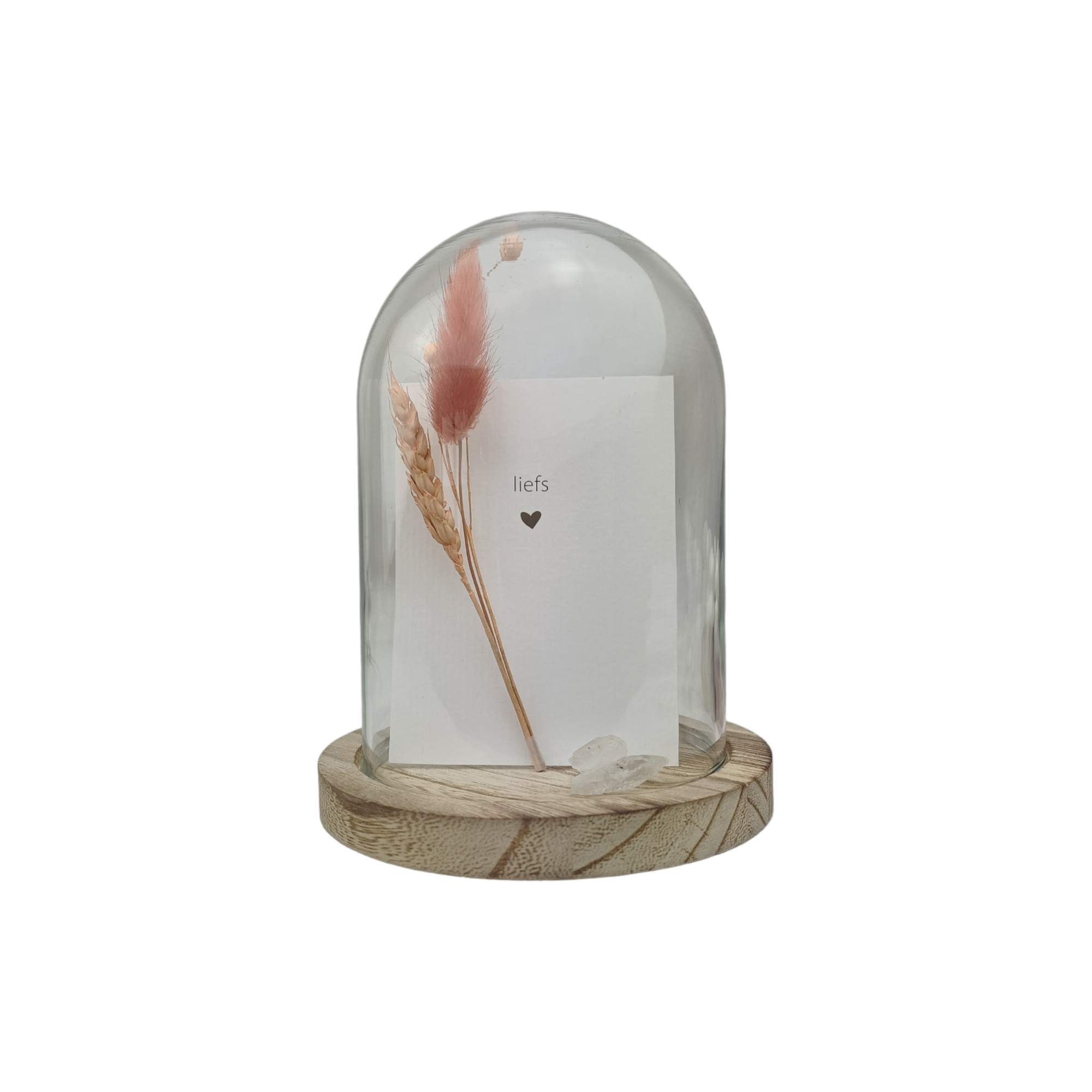 Gempops - Glazen Stolp incl. toebehoren