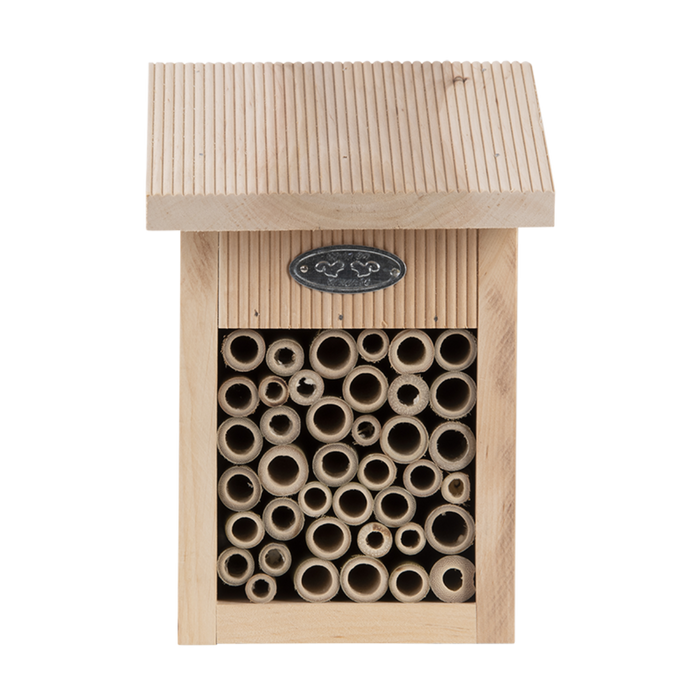 Bienenhaus aus Holz – in Geschenkverpackung