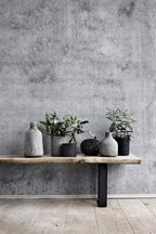 Flowerpot / Flower pot - Terracotta - Stain