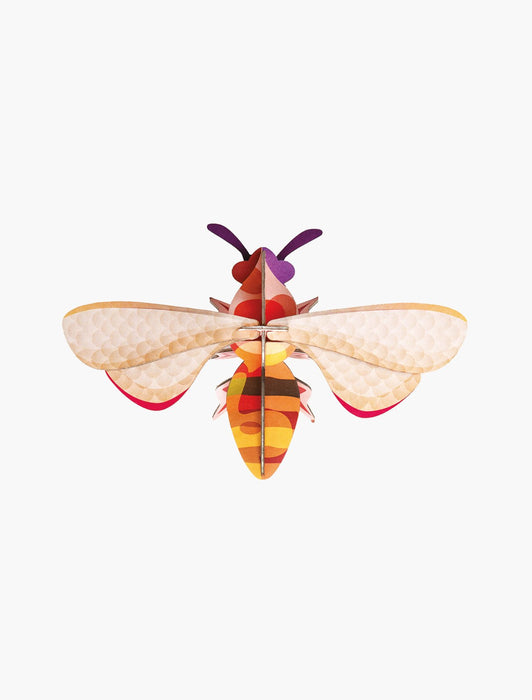 Kleine Insekten - Honigbiene | Honigbiene
