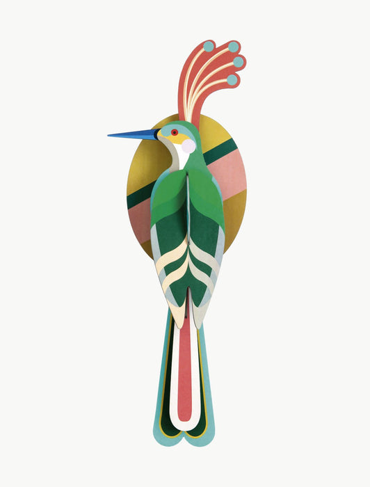 Paradise bird | Paradijsvogel - Nias