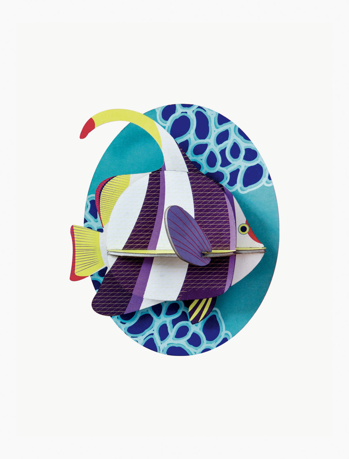 Sea Animals - Marine Angelfish | Studio Roof