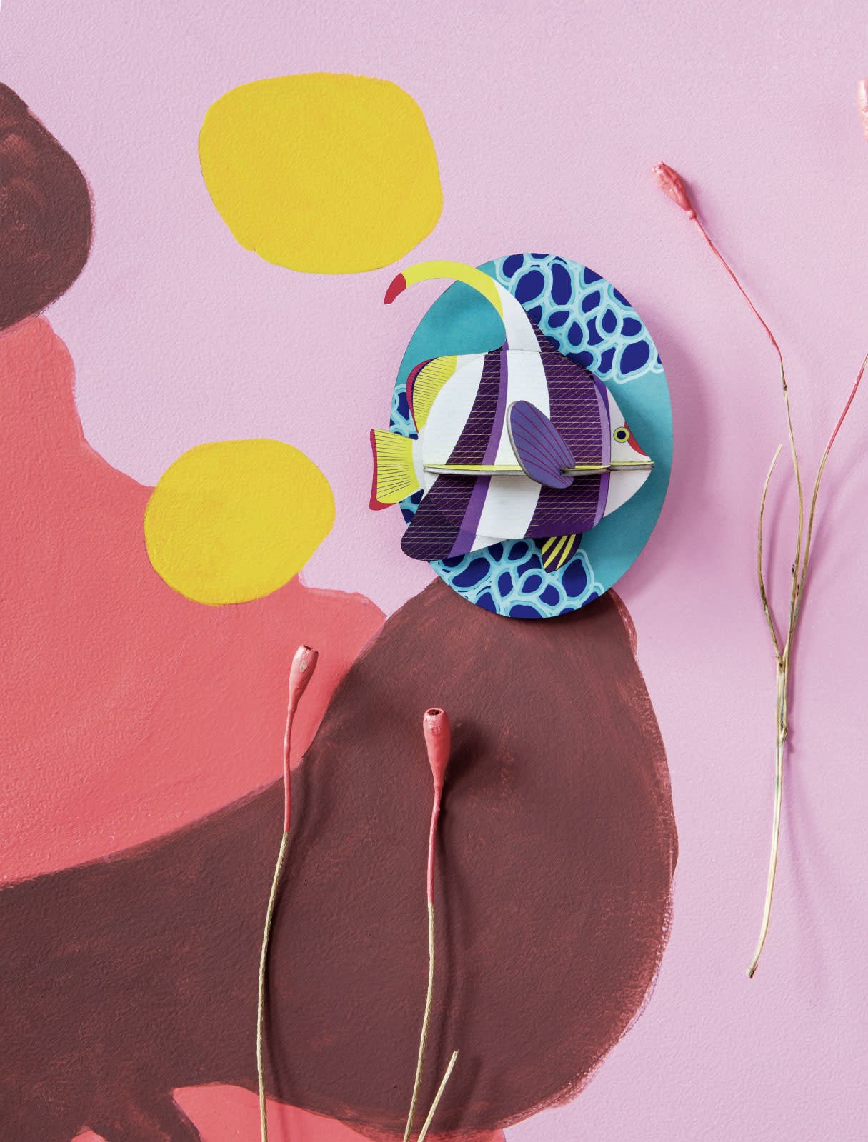 Sea Animals - Marine Angelfish | Studio Roof