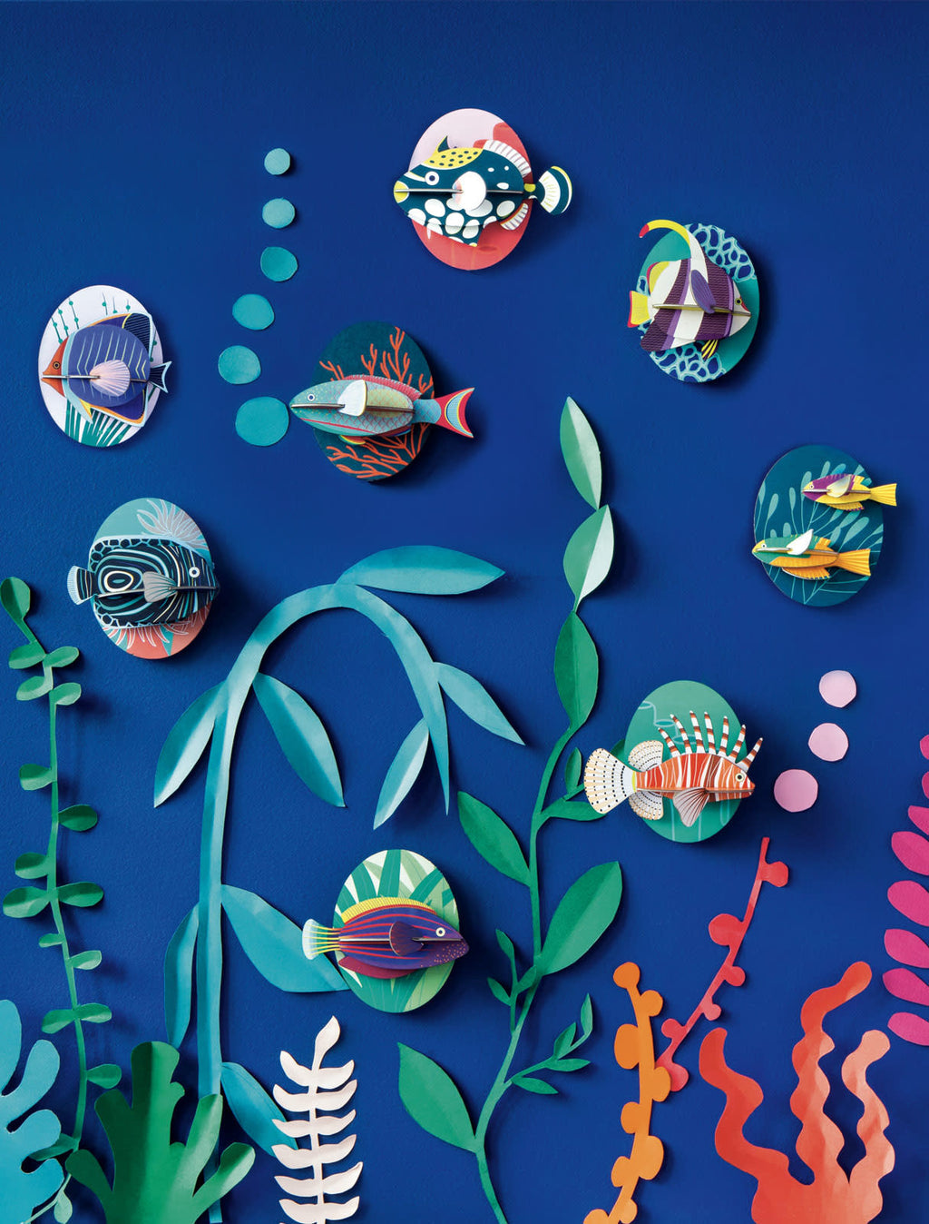 Sea Animals - Marine Angelfish | Studio Roof