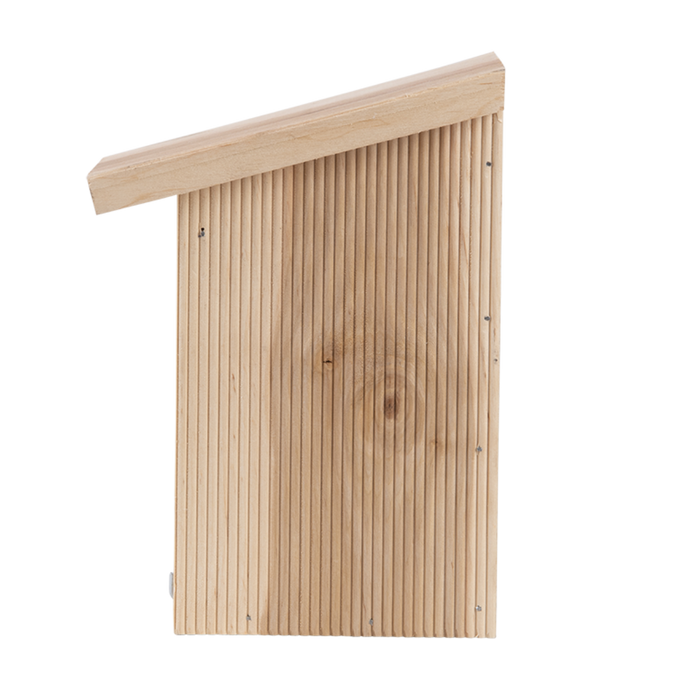 Butterfly box Wood - In gift packaging