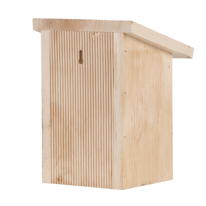 Schmetterlingsbox Holz - In Geschenkverpackung