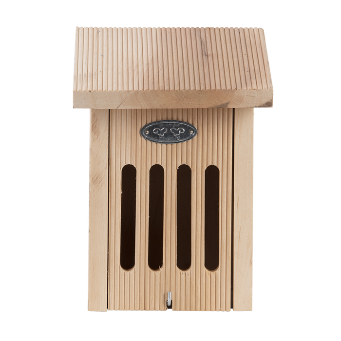 Schmetterlingsbox Holz - In Geschenkverpackung