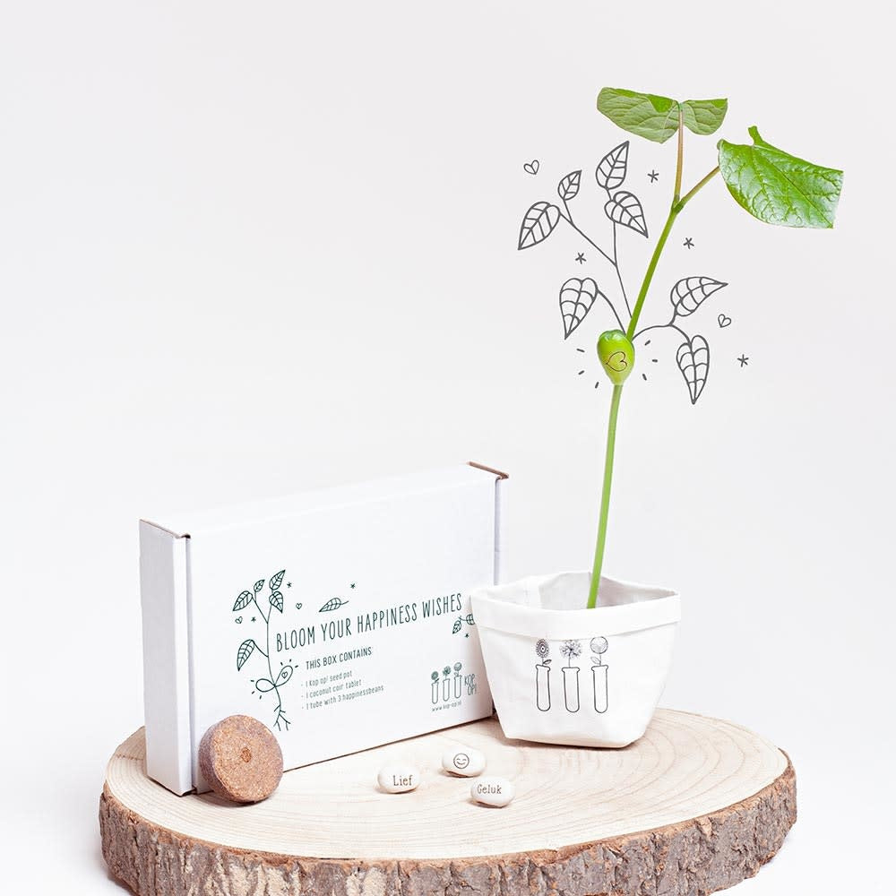 Wensdoosje - Bijzondercadeau.nl
