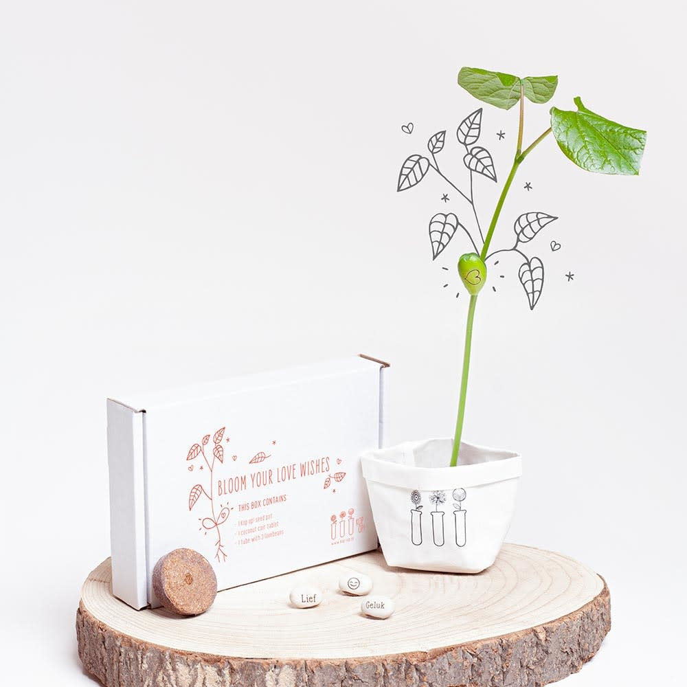Wensdoosje - Bijzondercadeau.nl