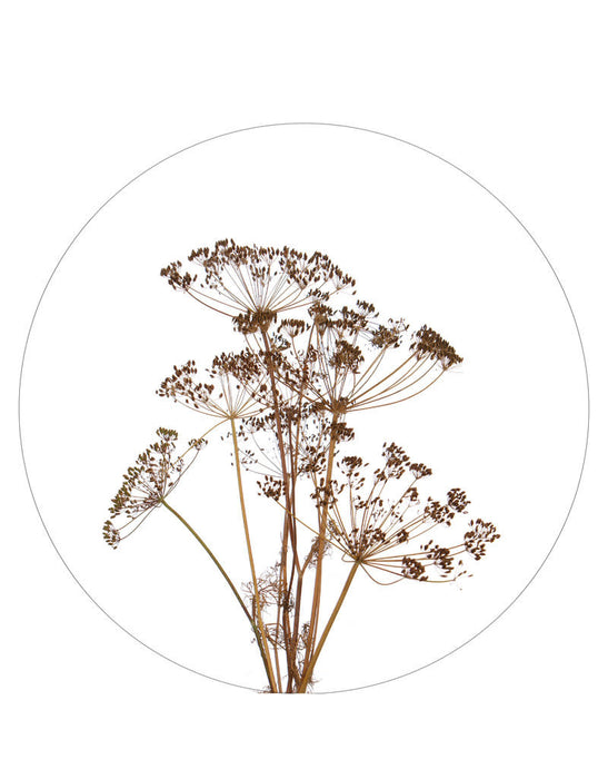 Wall circle dried flowers - for indoors - 30cm