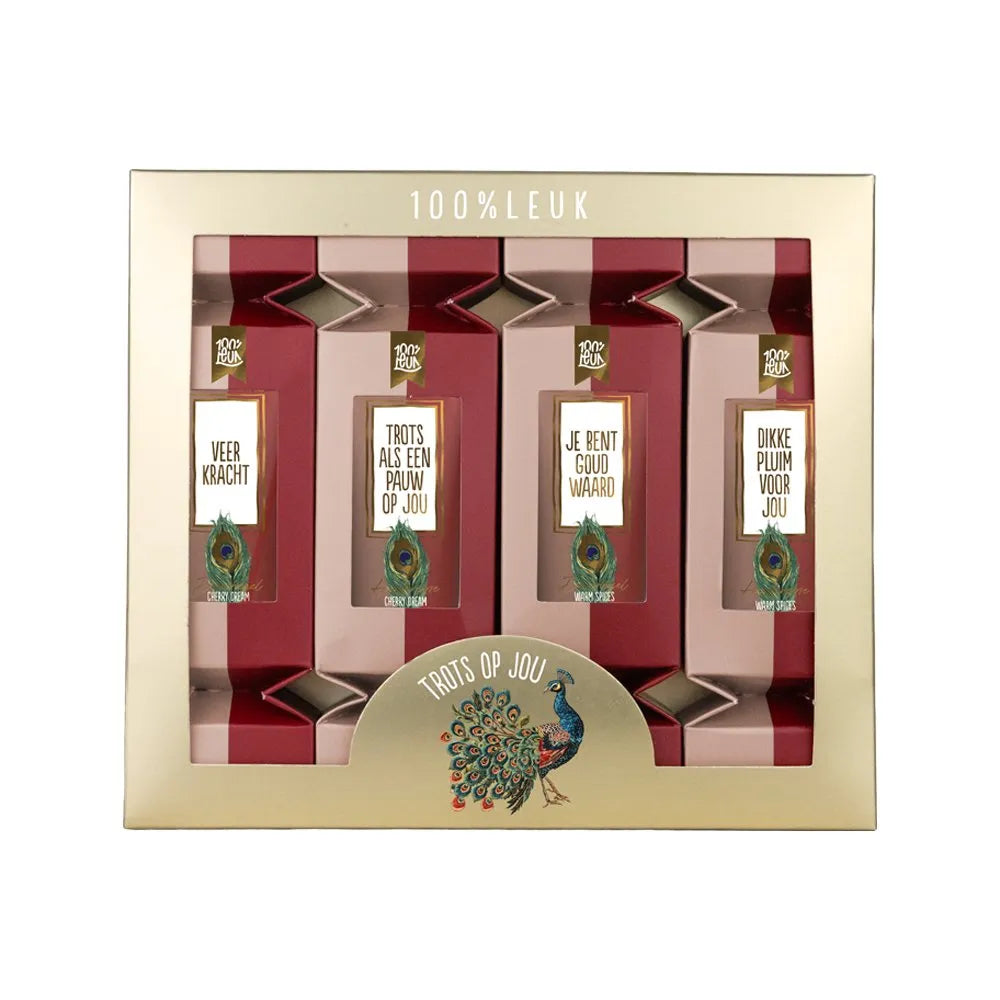 Cadeaupakket “Trots op jou” | 100% Leuk