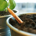 Bloom Bloom Pencil - Vegetables and Herbs